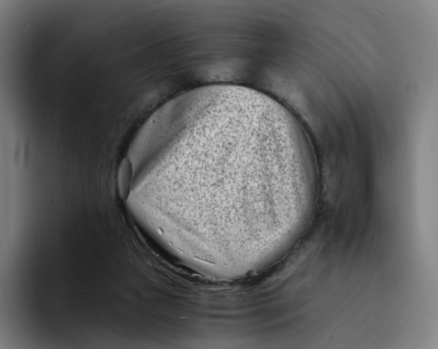 X0000094200161200711161815