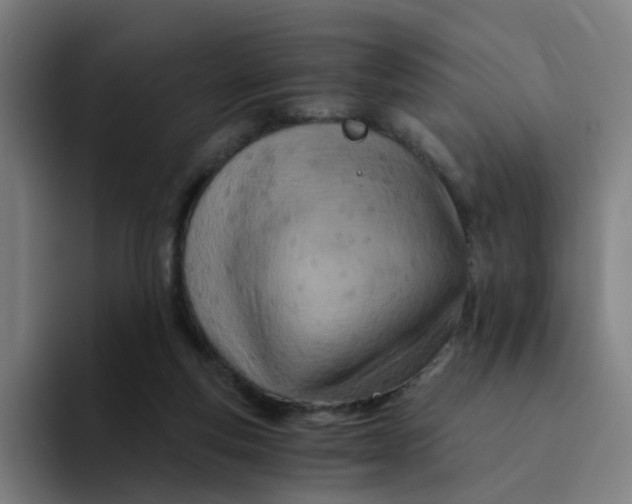 X0000094200163200711161815