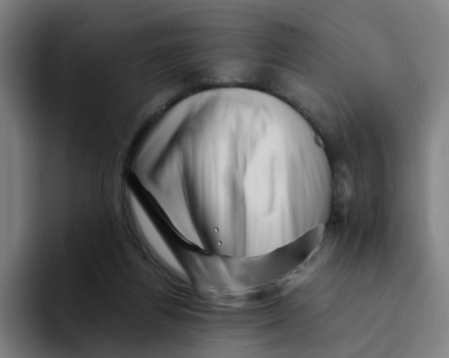 X0000094200164200711161815