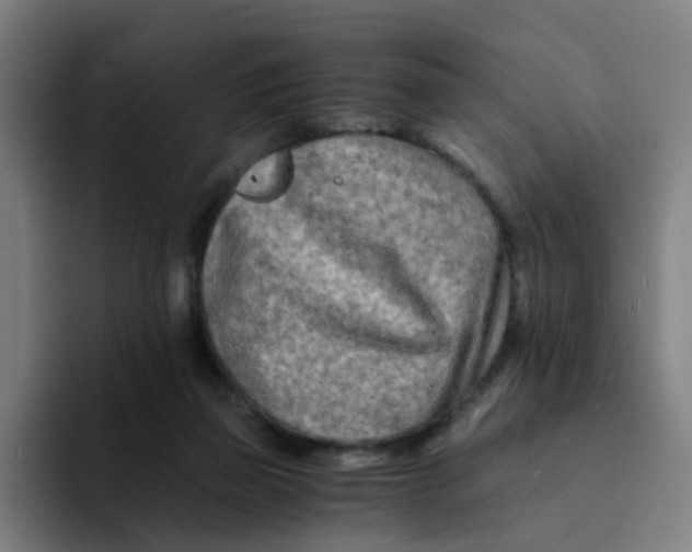 X0000094200165200711161815