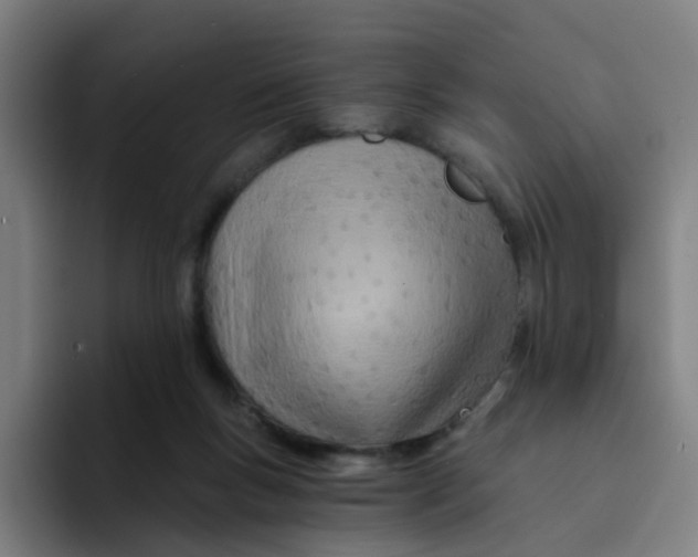 X0000094200167200711161815