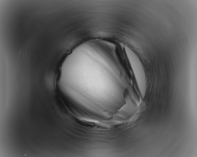 X0000094200168200711161815