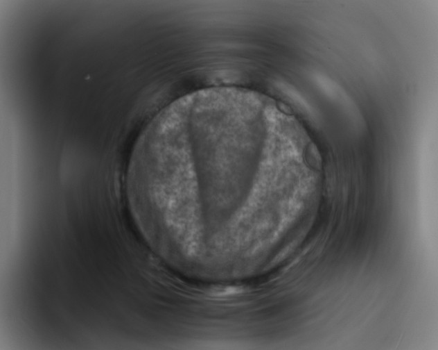 X0000094200169200711161815