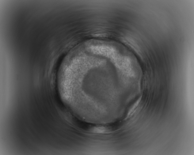 X0000094200171200711161815