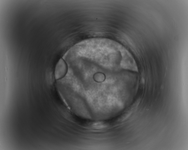 X0000094200173200711161815