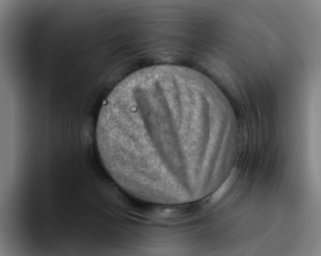 X0000094200174200711161815