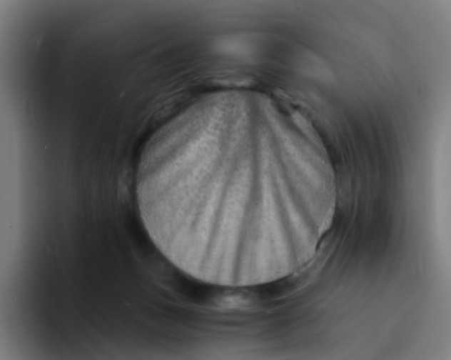 X0000094200175200711161815