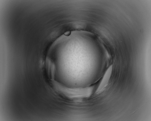 X0000094200176200711161815