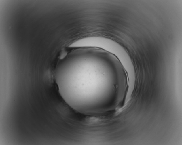 X0000094200180200711161815