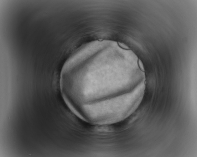 X0000094200181200711161815