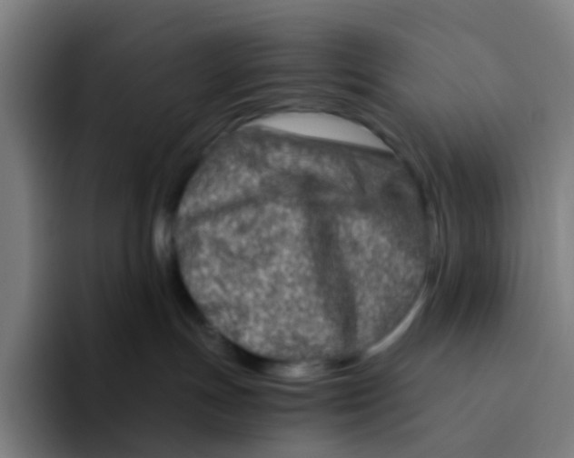 X0000094200191200711161816