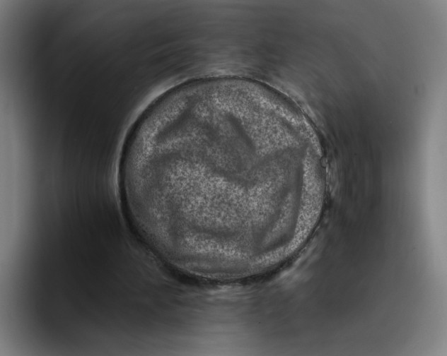 X0000094200196200711161815