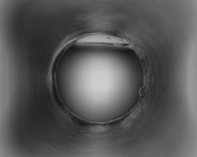 X0000094200198200711161815