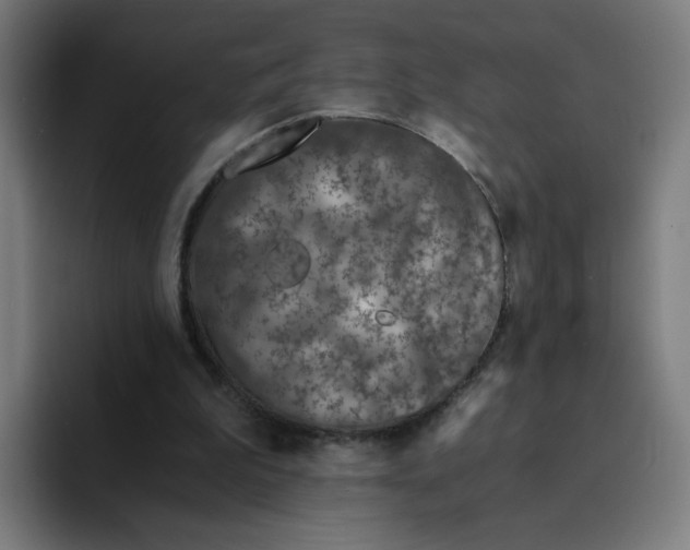 X0000094200199200711161815