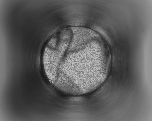 X0000094200202200711161815