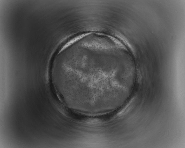 X0000094200203200711161815