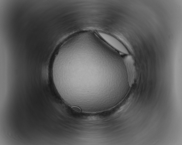 X0000094200204200711161815