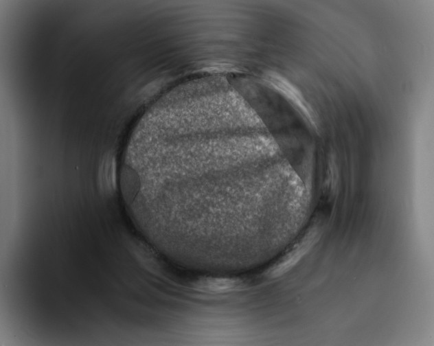 X0000094200205200711161815