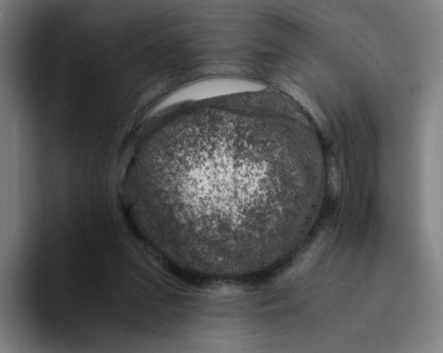 X0000094200207200711161815