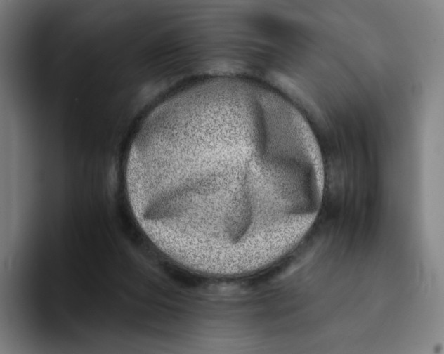 X0000094200208200711161815