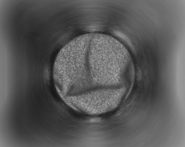 X0000094200210200711161815