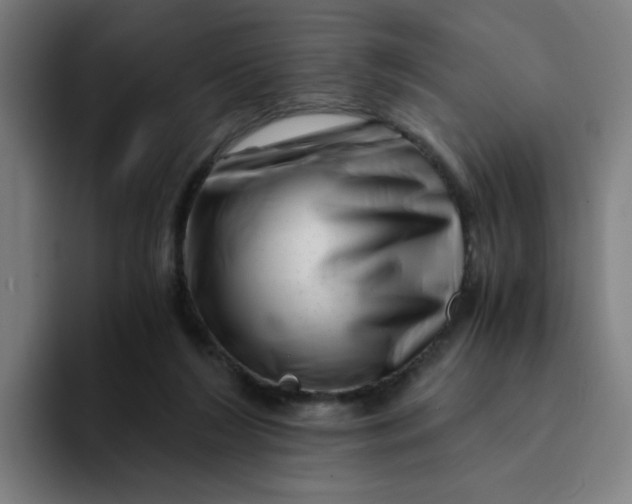 X0000094200212200711161815