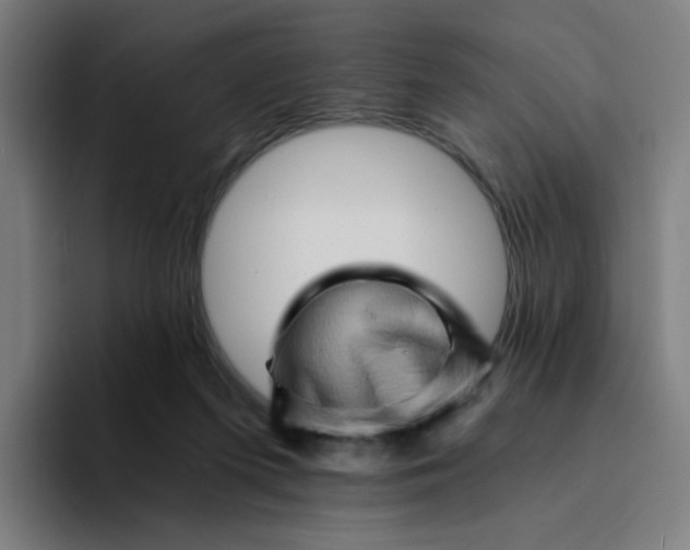 X0000094200215200711161815