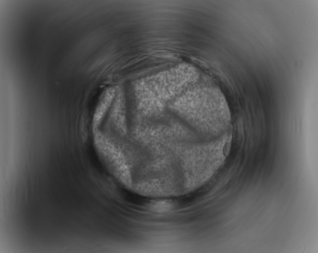 X0000094200218200711161815