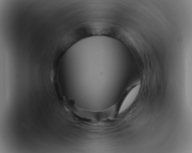 X0000094200219200711161815