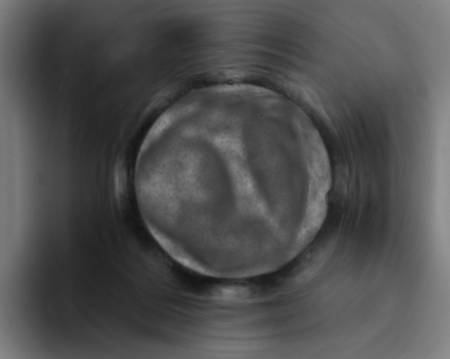 X0000094200220200711161815