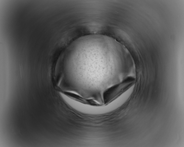 X0000094200221200711161815