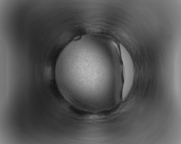 X0000094200224200711161815