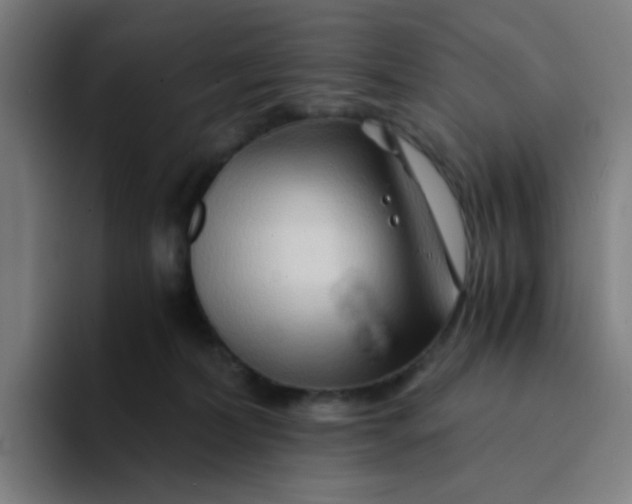 X0000094200228200711161814