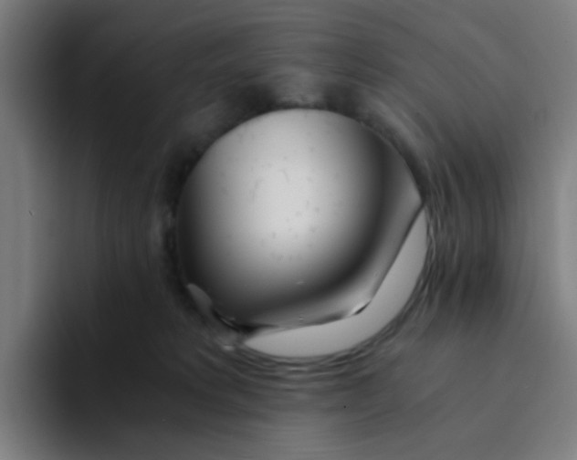 X0000094200229200711161814