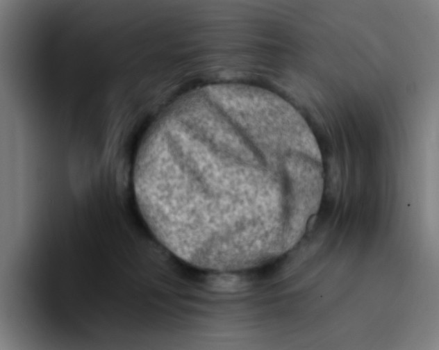 X0000094200230200711161814