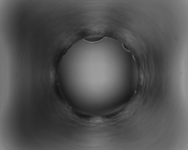 X0000094200231200711161814