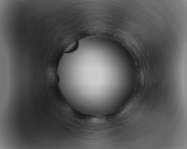 X0000094200232200711161814