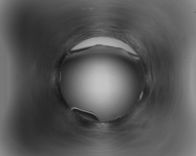 X0000094200233200711161814