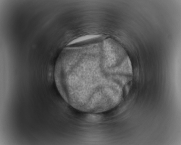 X0000094200234200711161814