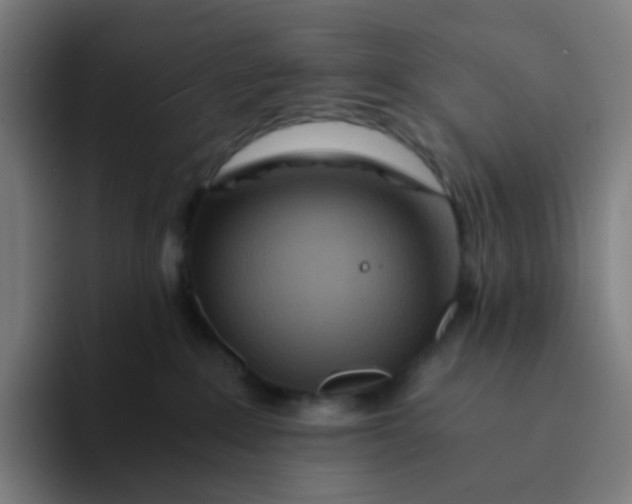 X0000094200235200711161814