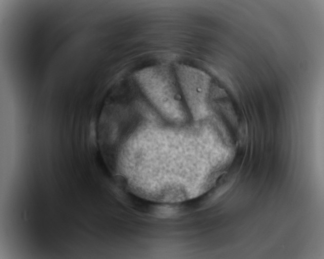 X0000094200238200711161814