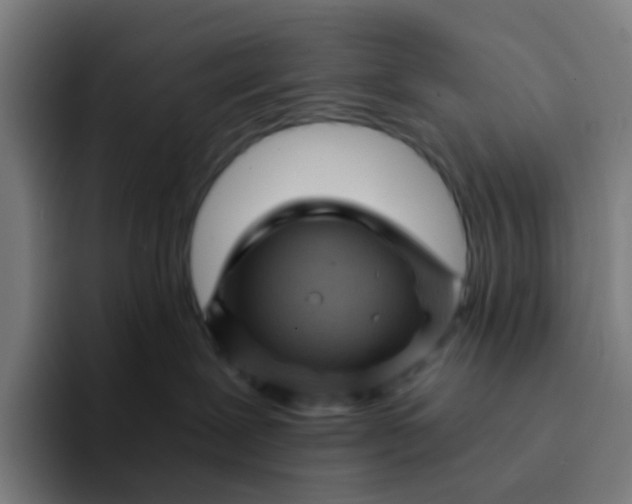 X0000094200239200711161814