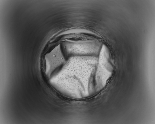 X0000094200242200711161814