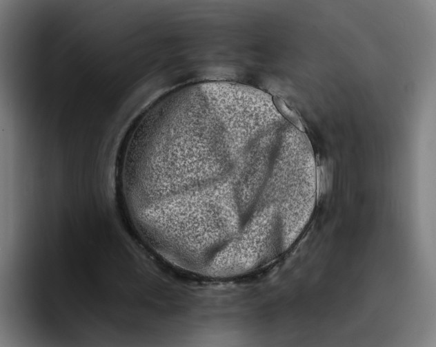 X0000094200243200711161814