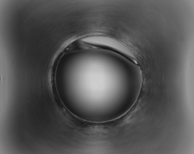 X0000094200244200711161814