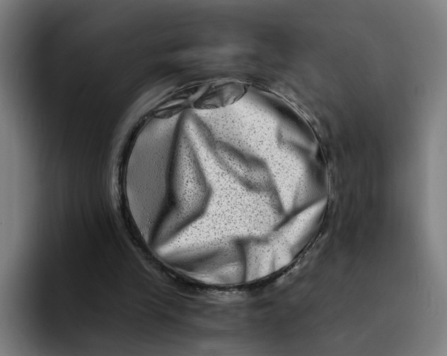 X0000094200245200711161814