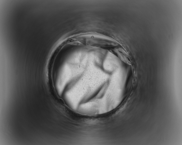 X0000094200246200711161814