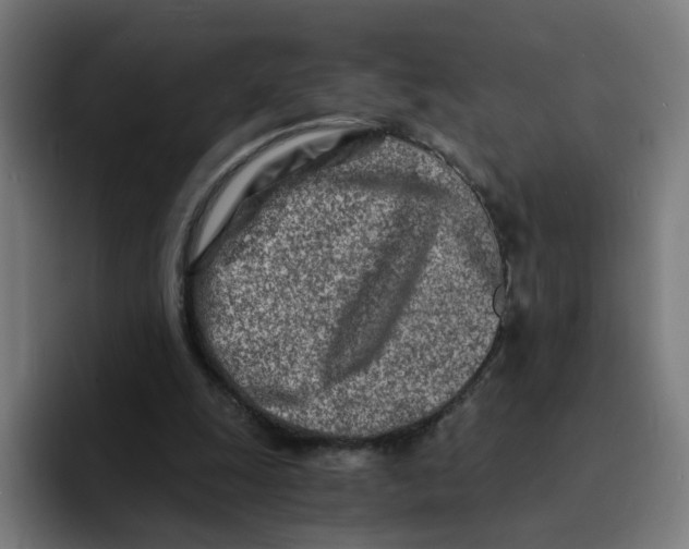 X0000094200247200711161814