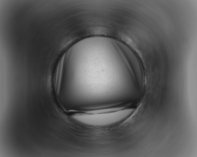 X0000094200249200711161814