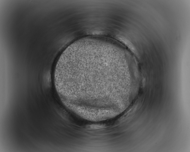 X0000094200251200711161814